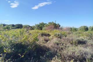 Commercial Property for Sale in Emerald Heights Eastern Cape